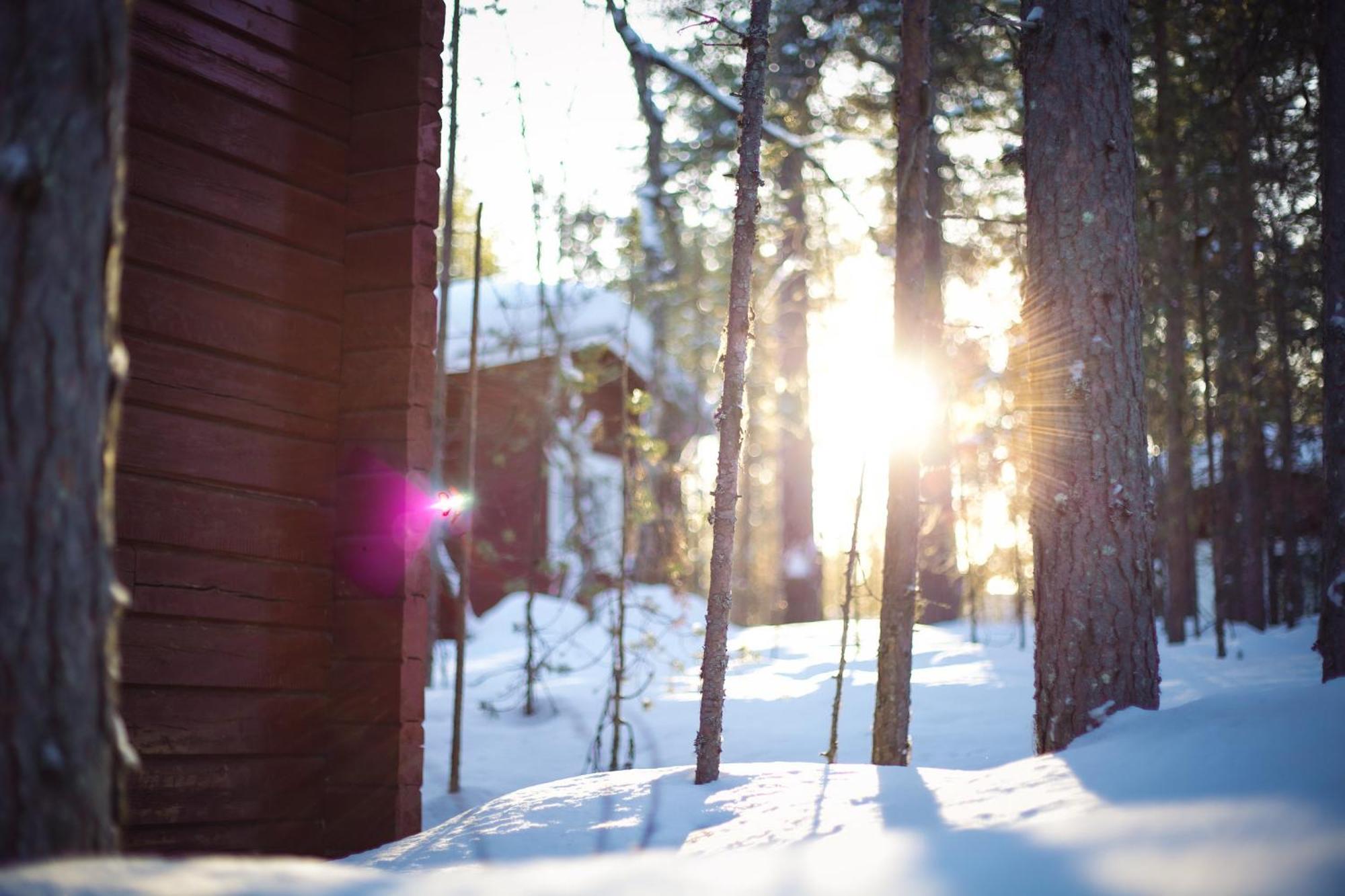 Crow Creek Cabins Inari Exterior foto